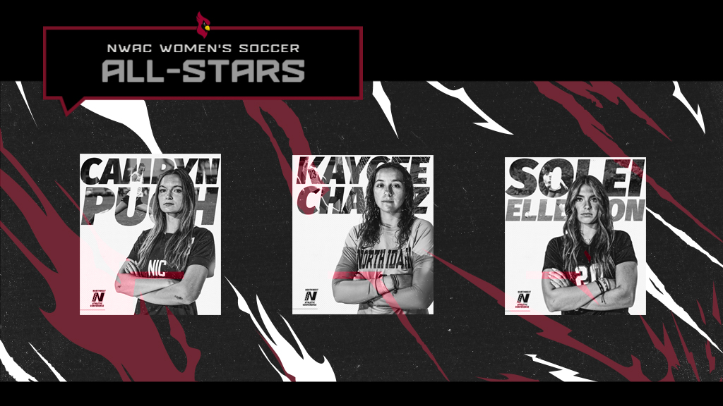 Women's soccer all-star graphic
